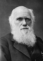 Click image for larger version. 

Name:	darwinportrait.jpg 
Views:	136 
Size:	21.1 KB 
ID:	13458